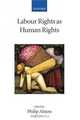 Labour Rights As Human Rights (Collected Courses of the Academy of European Law), 
