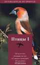Птицы. Книга I, Фридер Зауэр 