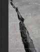 Of What One Cannot Speak: Doris Salcedo