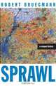 Sprawl: A Compact History, Robert Bruegmann 