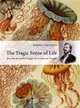 The Tragic Sense of Life: Ernst Haeckel and the Struggle over Evolutionary Thought, Robert J. Richards 