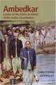Dr. Ambedkar and Untouchability : Analyzing and Fighting Caste (The CERI Series in Comparative Politics and International Studies), David Johnson 