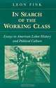 In Search of the Working Class: Essays in American Labor History and Political Culture (The Working Class in American History), Leon Fink 