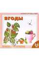 Ягоды: Раскраска для детей 3 - 5 лет, 