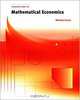 Foundations of Mathematical Economics, Michael Carter 