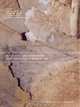 Art, Biology, and Conservation : Biodeterioration of Works of Art (Metropolitan Museum of Art Series), 