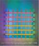 Dan Flavin: The Complete Lights, 1961--1996, Michael Govan, Tiffany Bell 