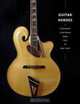 Guitar Heroes: Legendary Craftsmen from Italy to New York (Metropolitan Museum of Art), Jayson Dobney 