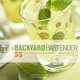 The Backyard Bartender: 55 Cool Summer Cocktails, Nicole Aloni 