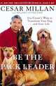 Be the Pack Leader: Use Cesar