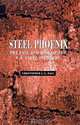 Steel Phoenix: The Fall and Rise of the U.S. Steel Industry, Christopher G. L. Hall 