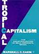 Tropical Capitalism: The Industrialization of Belo Horizonte, Brazil, Marshall C. Eakin 