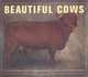 Beautiful Cows, Val Porter 