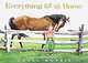Everything but the Horse, Holly Hobbie 