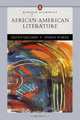 African American Literature (Penguin Academics Series) (Penguin Academics), Keith Gilyard, Anissa Wardi 