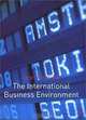 The International Business Environment: Diversity and the Global Economy, Janet Morrison 