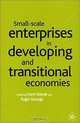 Small-Scale Enterprises In Developing And Transitional Economies, H. Katrak, Roger Strange, Homi Katrak 