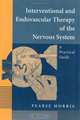 Interventional and Endovascular Therapy of the Nervous System, Pearse Morris 