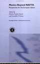 Mexico Beyond NAFTA: Perspectives for the European Debate (Routledge Studies in the Modern World Economy), M. Puchet, Martin Puchet Anyuel, Lionello F. Punzo 