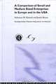 A Comparison of Small and Medium Sized Enterprises in Europe and the USA, Solomon Karmel 