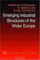 The Emerging Industrial Structure of the Wider Europe (Routledge Studies in Business Organization and Networks), 
