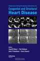 Complications During Percutaneous Interventions for Congenital and Structural Heart Disease, 