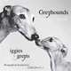 Greyhounds Big and Small: Iggies and Greyts, Amanda Jones 