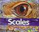 Scales, Cassie Mayer 