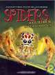 Spider and Other Invertebrates, Andrew Solway 
