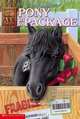 Pony in a Package - Animal Ark #27 (Animal Ark Hauntings) (Animal Ark Hauntings), Ben M. Baglio 