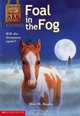 Foal In The Fog, Ben M. Baglio 