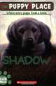Shadow, Ellen Miles 