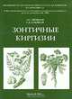 Зонтичные Киргизии, М. Г. Пименов, Е. В. Клюйков 