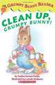Clean Up, Grumpy Bunny!, Justine Korman Fontes 