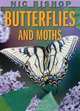 Nic Bishop Butterflies And Moths, Nic Bishop 