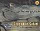 Crocodile Safari, Jim Arnosky 