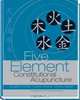 Five Element Constitutional Acupuncture, John Hicks 
