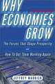 Why Economies Grow: The Forces That Shape Prosperity and How We Can Get Them Working Again, Jeff Madrick 