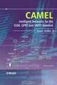 CAMEL: Intelligent Networks for the GSM, GPRS and UMTS Network, Rogier Noldus 
