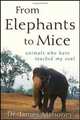 From Elephants to Mice: Animals Who Have Touched My Soul, James Mahoney 