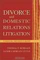 Divorce and Domestic Relations Litigation: Financial Adviser