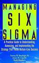Managing Six Sigma : A Practical Guide to Understanding, Assessing, and Implementing the Strategy That Yields Bottom-Line Success, Forrest W. Breyfogle, James M. Cupello, Becki Meadows 