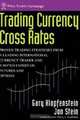 Trading Currency Cross Rates: Proven Trading Strategies from a Leading International Currency Trader and a Noted Expert on Futures and Options, Gary Klopfenstein, Jon Stein 
