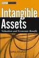 Intangible Assets: Valuation and Economic Benefit, Jeffrey Cohen 