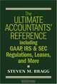 The Ultimate Accountants