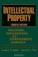 Intellectual Property: Valuation, Exploitation, and Infringement Damages, Gordon V. Smith, Russell L. Parr 