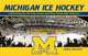 Michigan Ice Hockey: Celebrating the All-Time Greats and Most Memorable Moments, Greg Nelson 