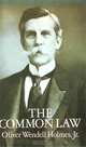The Common Law, Oliver Wendell Holmes 