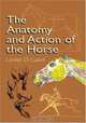 The Anatomy and Action of the Horse (Dover Art Instruction), Lowes D. Luard 