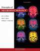 Principles of Neuropsychology, Eric A. Zillmer, Mary V. Spiers, William Culbertson 